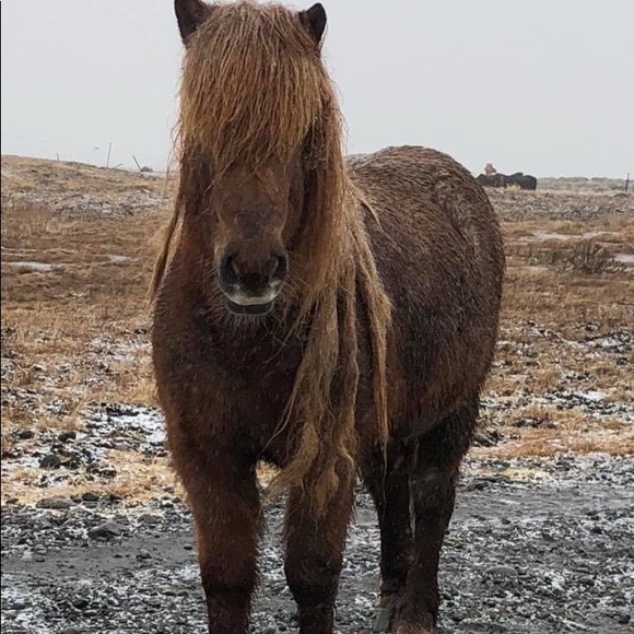 Your Poshbassator, Erin Jessica PS I ❤️ to recycle - Picture 4 of 8